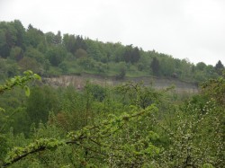 DSC06326