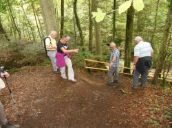 Waldweg