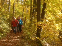 Herbst auf dem Weg zur Kocherburg