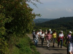 RemstalerHerbst2013-2
