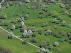 Weitwanderung-Teck2012-4