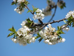 Weitwanderung-Teck2012-5