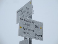 02.04.Baerenberg-5