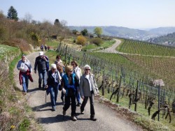 Knausbiraweg