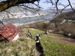 Knausbiraweg