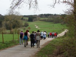 Schönhardt