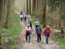 Schönhardt