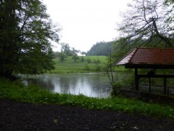 Brandhofer Mühle
