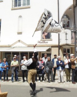SAV-Fest 2015-Sigmaringen-Umzug Fahnenschwinger2
