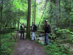 Wandergruppe im Wald