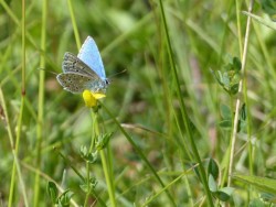 K800_P1040366