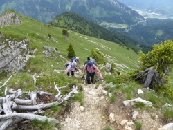 Weg zur Spitze