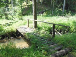 Brücke über den Reichenbach