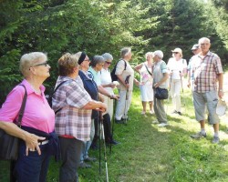 Wental-15-07-2015-Gruppe1