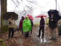 Wanderung_Bärentobel3