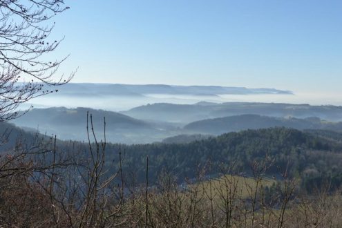 2017-01-01-kaltesfeld