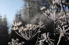 dscf5757