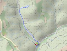 hohler-stein-track