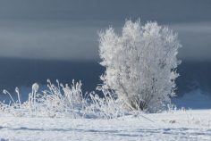 Winterzeit